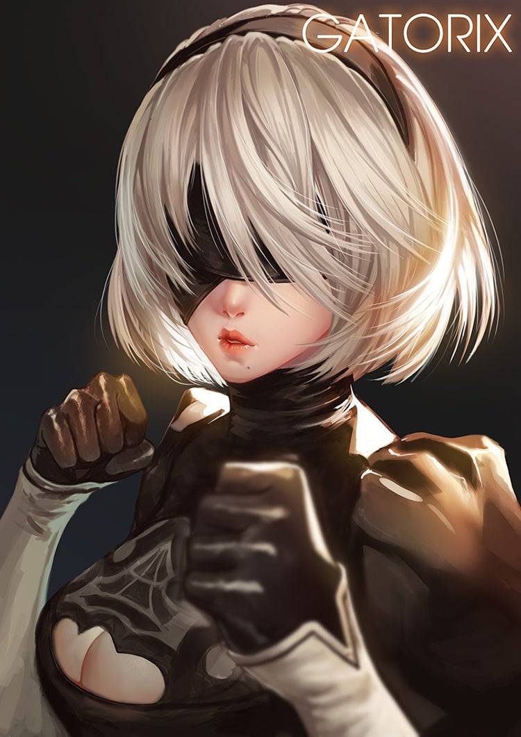 Nier Automata 2B