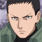 Shikamaru Nara