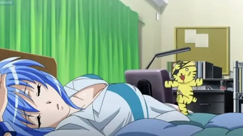 Anime Kampfer 
